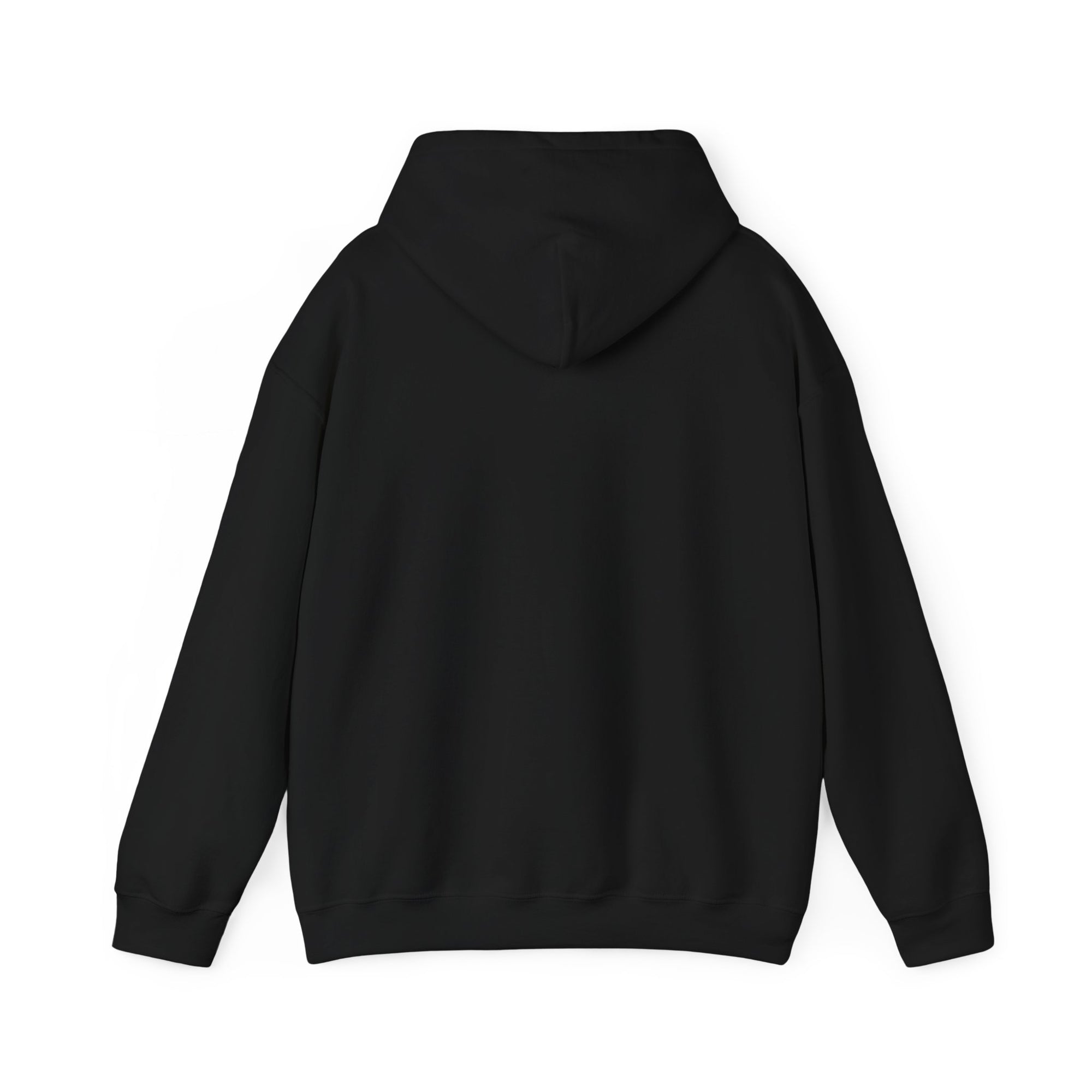 Believer Collection Hoodie – Black