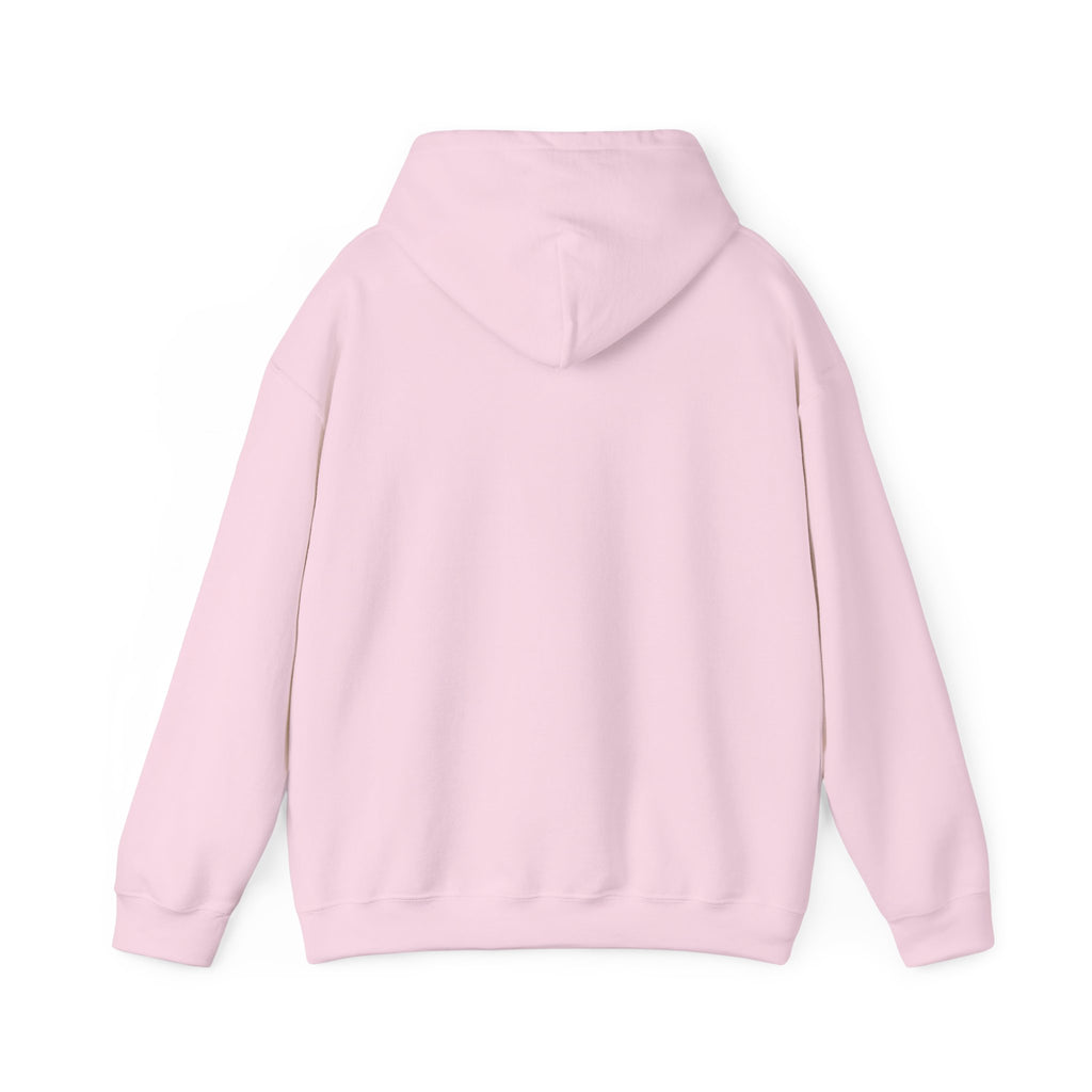 Believer Collection Hoodie – Pink