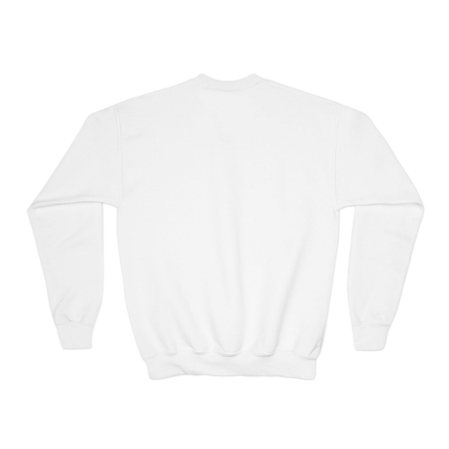 Youth Crewneck Sweatshirt / Multiple Colors / Grey Letters